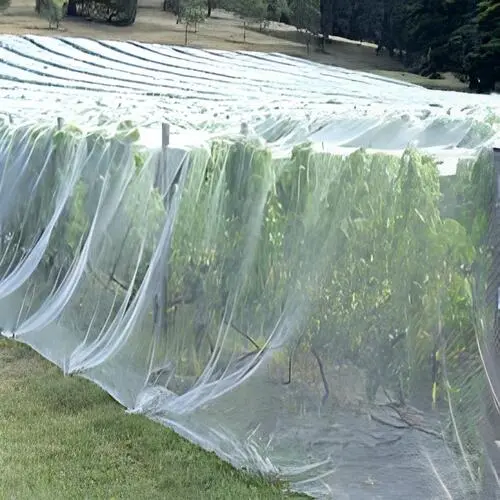 Bird Netting Service in KR Puram (4)