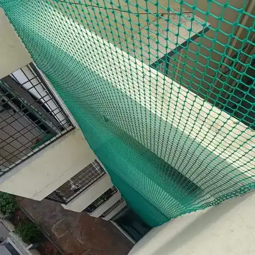 Bird Netting Service in Whitefield (2)
