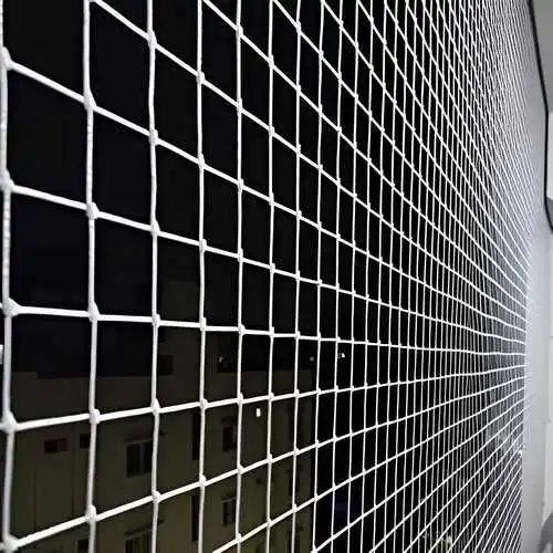 Bird Netting Service in Whitefield (5)