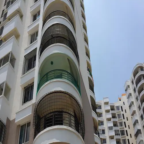 Net for Pigeons in Hoodi Circle (2)