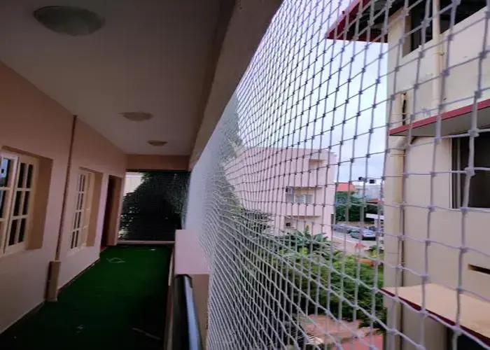 Net for Pigeons in Hoodi Circle (5)