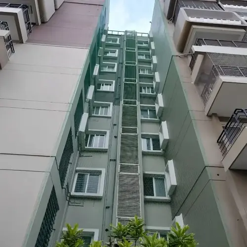 Net for Pigeons in KR Puram