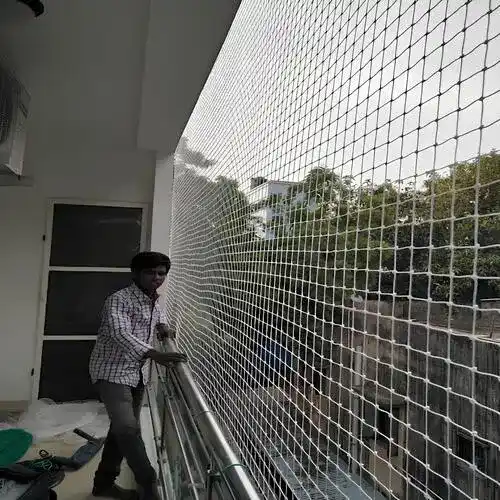 Net for Pigeons in Mahadevapura (3)