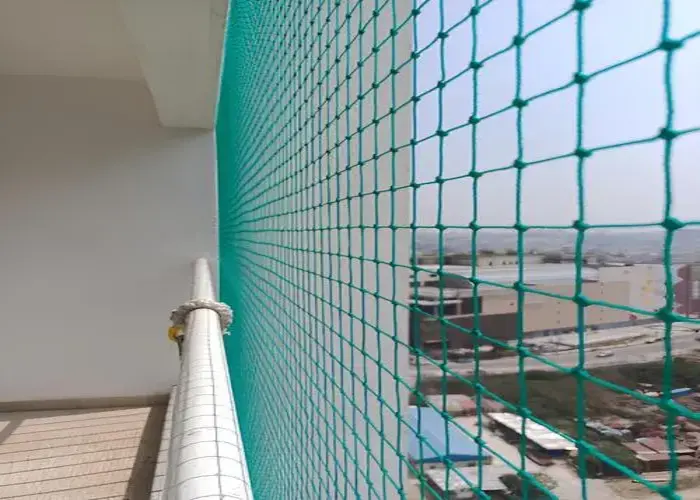 Pigeon Netting Service in Bangalore (2)