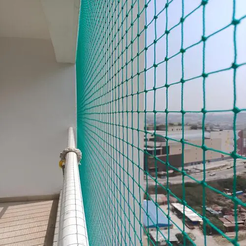 Pigeon Netting Service in Bangalore
