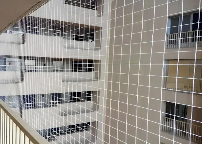 Premium Net for Pigeons in Marathahalli