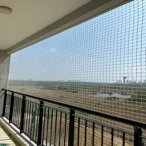 Bird Netting Service in HSR Layout (2)