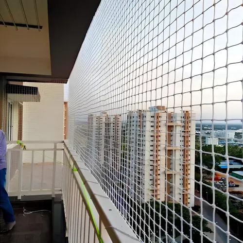 Pigeon Netting Service in Whitefield (2)