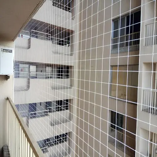 Pigeon Netting Service in Whitefield (4)
