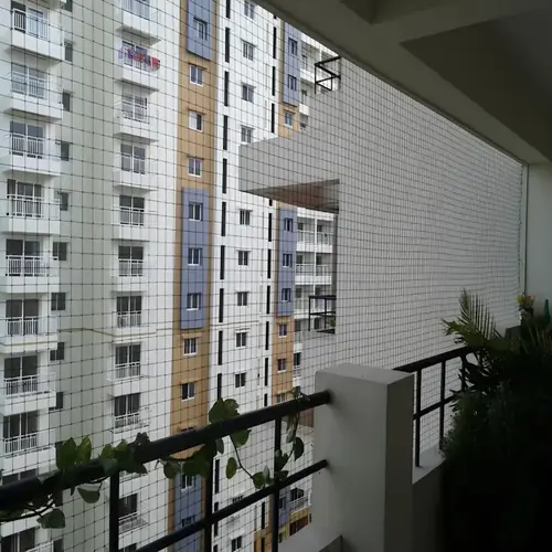 Bird Netting Services in Hennur