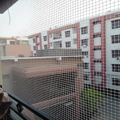 Pigeon Netting Services in Hennur (2)