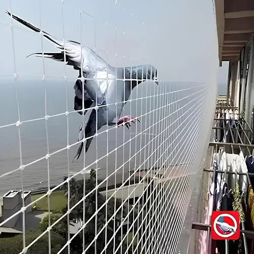 Pigeon Netting Services in Hennur (4)