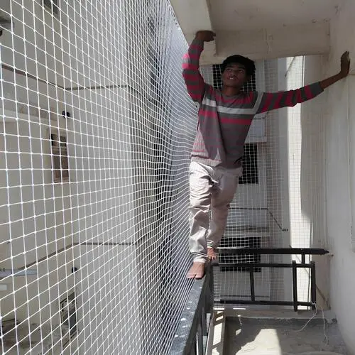 Pigeon Safety Nets in Hennur (3)