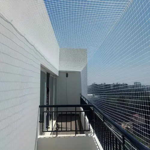 Pigeon Safety Nets in Hennur (4)
