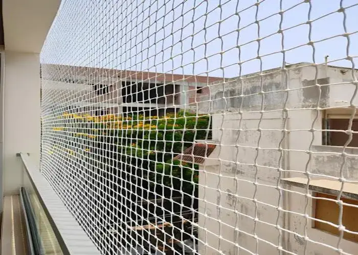 Pigeon Safety Nets in Hennur (5)