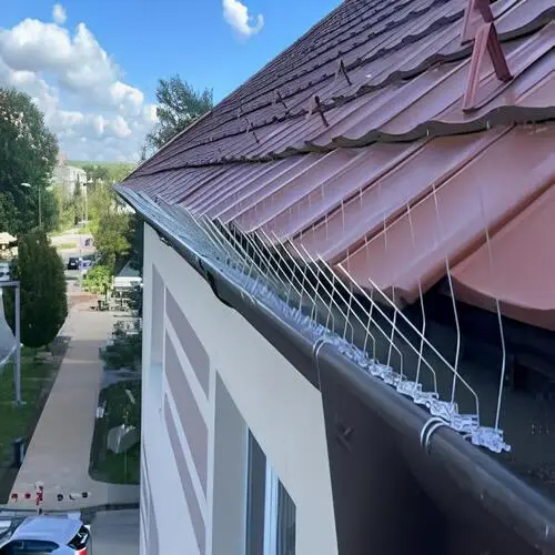 Anti Bird Spikes
