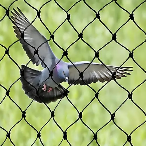 Bird Net for Balcony (2)